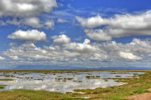 Amboseli National Park Wilderness, Kenya, Africa 0018